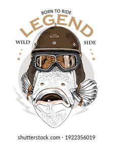 Big fish in a retro bikers helmet and glasses. Creative poster, t-shirt composition, hand drawn style print. Vector illustration.