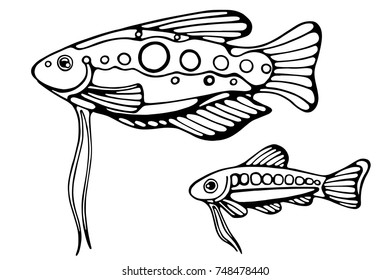 Big fish and a small one with a patterns of circles on the sides and long mustaches. Black and white graphics isolated on a white background.