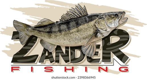 Big Fish Zander Decal Fishing Predators