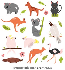 Big flat set of Australian famous animals koala, ostrich, kangaroo, platypus etc