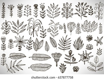 Tropical Leaves Set Plants Isolated On Stock Vector (Royalty Free ...