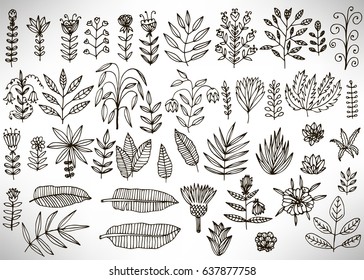 Big Floral Set of black hand drawn flowers, bushes, leaves, branches isolated on white. Collection of flourish elements for design. Vector illustration.
