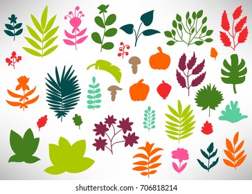 Big Floral Set of colorful hand drawn flowers, bushes, leaves, branches, pumpkin, mushrooms isolated on white. Collection of flourish  elements for design. Vector illustration.