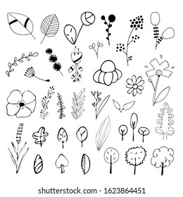 Big floral set, doodle, hand drawn vector illustration. 
