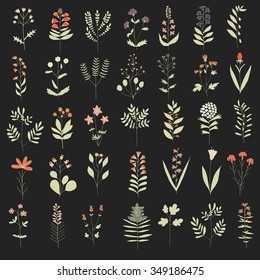 Big floral Set. Hand drawn flowers on dark background made in Vector. Herbarium Set. Beautiful design elements for Wedding Invitations, Romantic Tempates, Birthday Cards, Postcards, Patterns. 