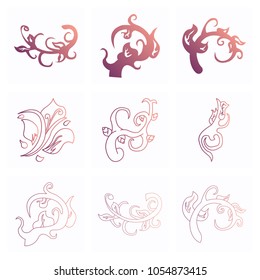 big floral set for spring design: floral elements