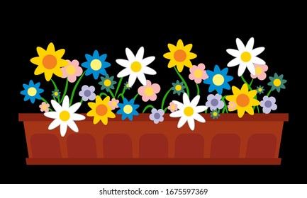 big flower pot with colorful flowers, black background 