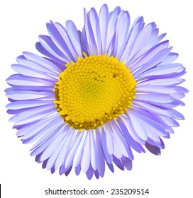 A big flower with yellow pollengrains on a white background 