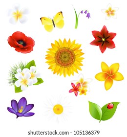 Big Flowers And Leaf Set, Vector Illustration