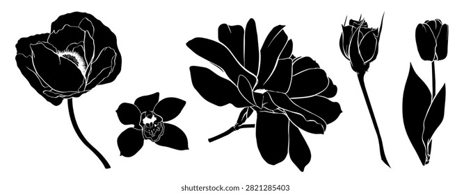 Big flowers silhouette shapes vector set. Black and white hand drawn botanical illustration. Floral collection. Vintage art. Many open buds. Simple flat image. Spring bloom. Lush poppy, elegant rose