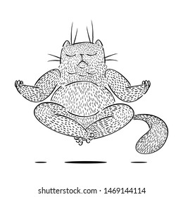 Big fluffy cat meditates and levitates. Hand drawn doodle vector illustration.