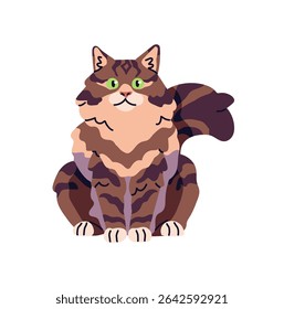 Big fluffy cat sits front view. Happy kitty with green eyes and striped coat. Cute kitten with furry tail. Funny domestic animal, amusing pet. Flat isolated vector illustration on white background