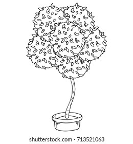 Big fluffy tree in a flower pot. Vector illustration tree with a rounded crown. Hand drawn flower pot.
