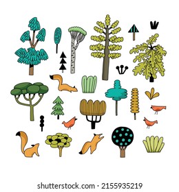 Big forest hand drawn flat plants clipart collection on white background. Hand drawn woodland trees, herbs, leaves, birds, squirrel. Scandinavian style vector illustration.