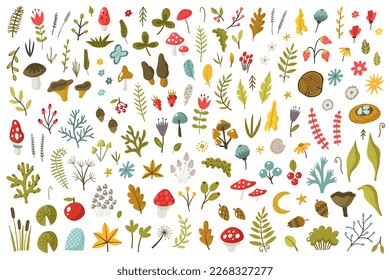 Big forest plants clipart collection. Hand drawn woodland trees, herbs, mushrooms, flowers, branches, berries, leaves. Wild botanical set. Scandinavian style vector cartoon illustration