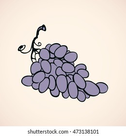 Big fresh lilac grapevine isolated on white backdrop. Freehand outline ink hand drawn logo sketchy in art retro style pen on paper. Closeup view with space for text