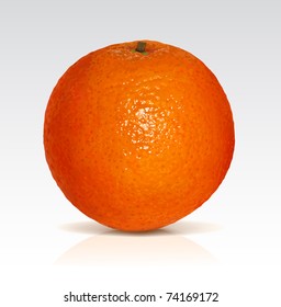 Big fresh orange