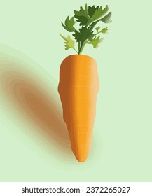 The big and fresh orange carrot