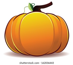 Big fresh orange pumpkin illustration on white background.