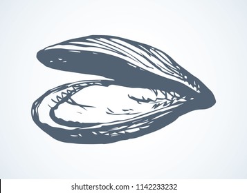 Big fresh perl mollusc on white backdrop. Outline black ink hand drawn french diet delicacy dining product logo emblem sketchy in retro art cartoon doodle engraved style pen on paper space for text