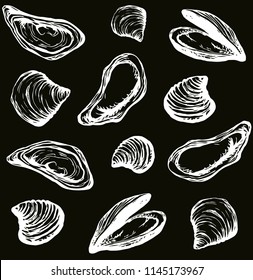 Big fresh perl Ostreidae mollusc on dark backdrop. Outline black ink hand drawn french diet delicacy dining icon sign design sketchy in retro art cartoon doodle engraved style pen on white paper