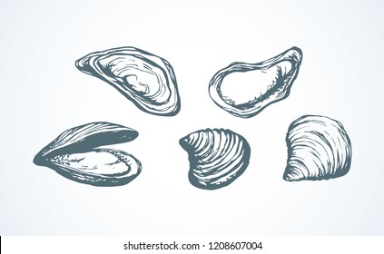 Big fresh perl Ostreidae mollusc on white backdrop. Outline black ink hand drawn french diet delicacy dining logo emblem sketchy in retro art cartoon doodle engraved style pen on paper space for text