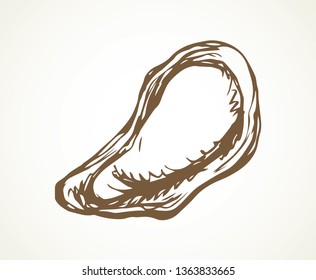 Big fresh perl Ostreidae mollusc on white backdrop. Outline black ink hand drawn french diet delicacy dining logo emblem sketchy in retro art cartoon doodle engraved style pen on paper space for text