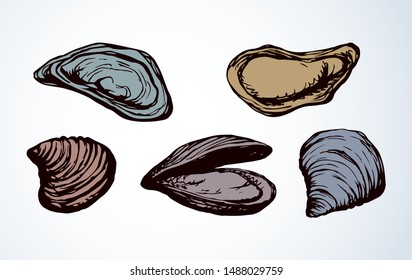 Big fresh perl Ostreidae mollusc on white backdrop. Outline black ink hand drawn french diet delicacy dining logo emblem sketchy in retro art cartoon doodle engraved style pen on paper space for text