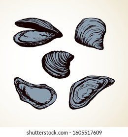 Big fresh perl Ostreidae mollusc on white backdrop. Outline black ink hand drawn french diet delicacy dining logo emblem sketchy in retro art cartoon doodle engraved style pen on paper space for text