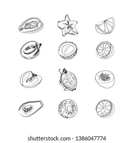 Big fruit set doodle icons. Outline illustrations isolated on white background. Vector food icons for your design