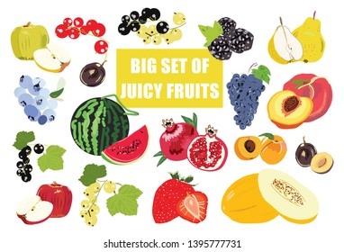 Big fruit set doodle illustration isolated on white background. Vector food icons for your design