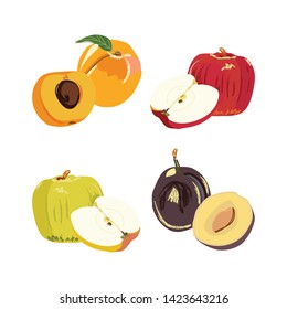 Big fruit set doodle illustration isolated on white background. Vector food icons for your design