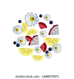 Big fruit set doodle illustration isolated on white background. Vector fruits and flowers icons for your design