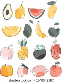 Big fruit set on white background vector illustration hand draw design 
