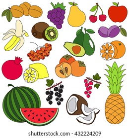 Big fruit set set in vector, the colorful version.