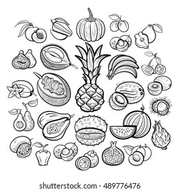 Big fruits collection. Pineapple, bananas, pumpkin, mango, passion, papaya, apple, melon, avocado, fig, kiwi, apricot, garnet, peach, plum, lychee and oth. Outline isolated sketch vector illustration.