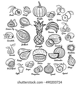 Big fruits collection. Pineapple, bananas, pumpkin, mango, passion, papaya, apple, melon, avocado, fig, kiwi, apricot, garnet, peach, plum, lychee and oth. Outline isolated sketch vector illustration
