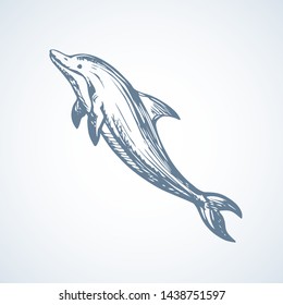 Big fun cheerful cetacean breach on light backdrop. Outline dark ink hand drawn funny pet pictogram logotype emblem sketchy in art retro engrave doodle style pen on paper space for text. Side view