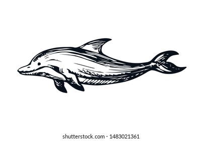 Big fun cheerful cetacean breach on light backdrop. Outline dark ink hand drawn funny pet pictogram logotype emblem sketchy in art retro engrave doodle style pen on paper space for text. Side view