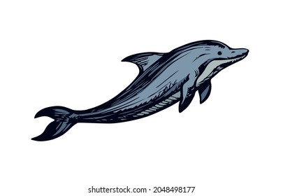 Big fun cheerful cetacean breach light backdrop. Outline dark grey ink pen hand drawn funny pet pictogram logotype emblem design sketchy in art retro engrave doodle style paper text space. Side view