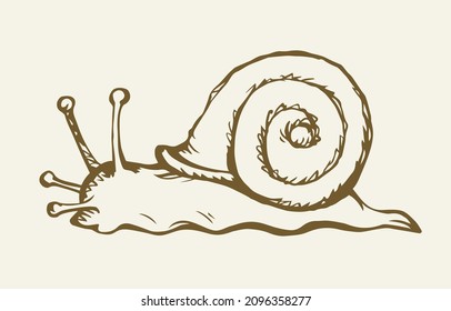 Un caracol serpentea en el suelo. Dibujo de vectores