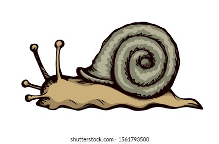Big fun green cochlea on light beige backdrop. Bright brown color hand drawn creative pictogram emblem design insignia element concept in retro art doodle print style pen on paper text space. Close up