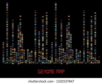 Big Genomic Data Visualization - DNA Test, Barcoding,  Genome Map Architecture  - Vector Graphic Template  