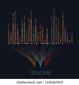 Big genomic data visualization. DNA test, genom map. Graphic concept for your design