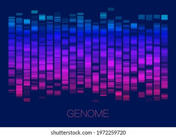 Big genomic data visualization. DNA test, genom map. Graphic concept for your design