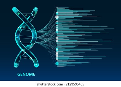 Big genomic data visualization. DNA test, genom map. Graphic concept for design