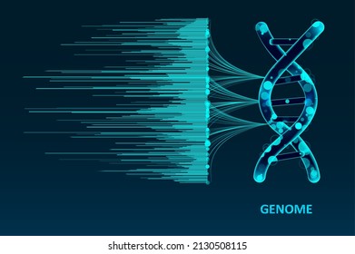 Big genomic data visualization. DNA test, genom map. Graphic concept for your design