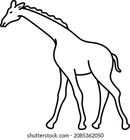 Big giraffe. Vector outline illustration.