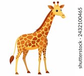 a big giraffe with white background