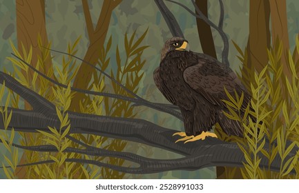 Der große Goldene Adler sitzt auf einem Ast in einem grünen schattigen Wald. Realistische Vektorlandschaft